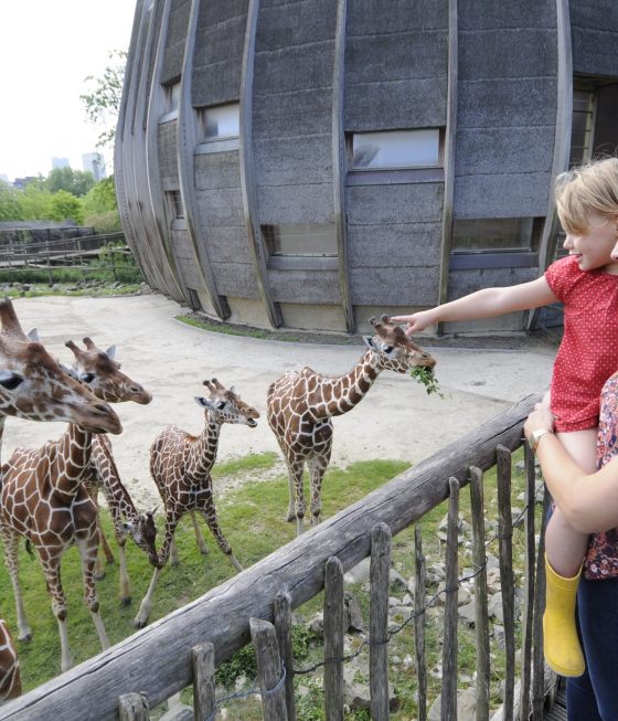 Blijdorp Zoo ברוטרדם הולנד