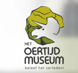 Oertijdmuseum Boxtel Dinosaur Museum מוזיאון הדינוזאורים