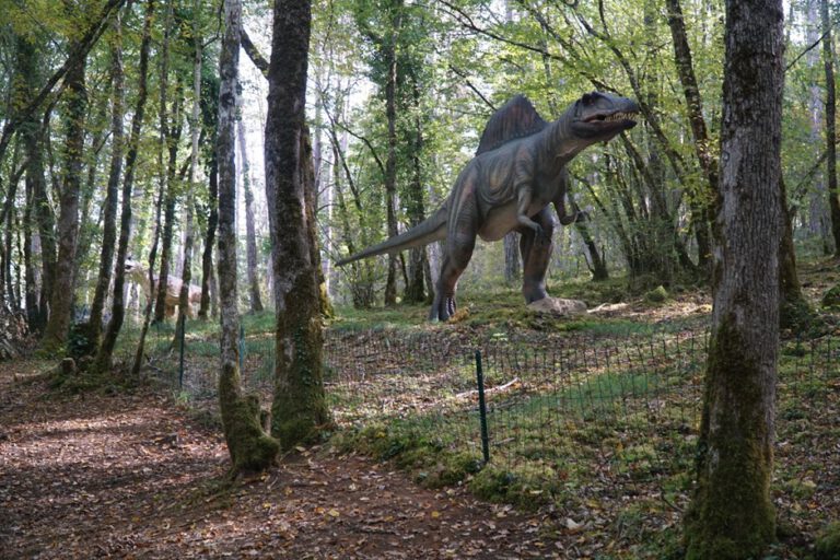 חבל דורדון פריגור בצרפת עם ילדים